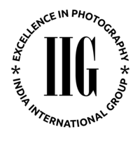IIG 2026 – 305 IIG